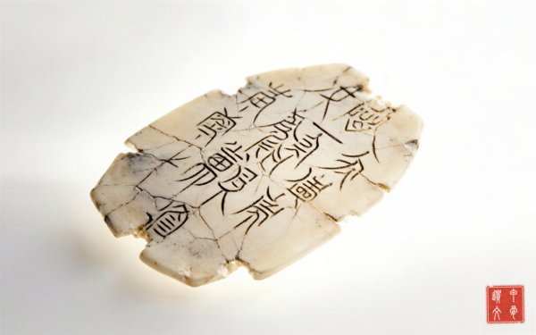 Close-up of an inscribed oracle bone shell with ancient Chinese characters, with a cinnabar seal reading Jia Gu Yi Wen